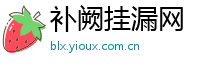补阙挂漏网